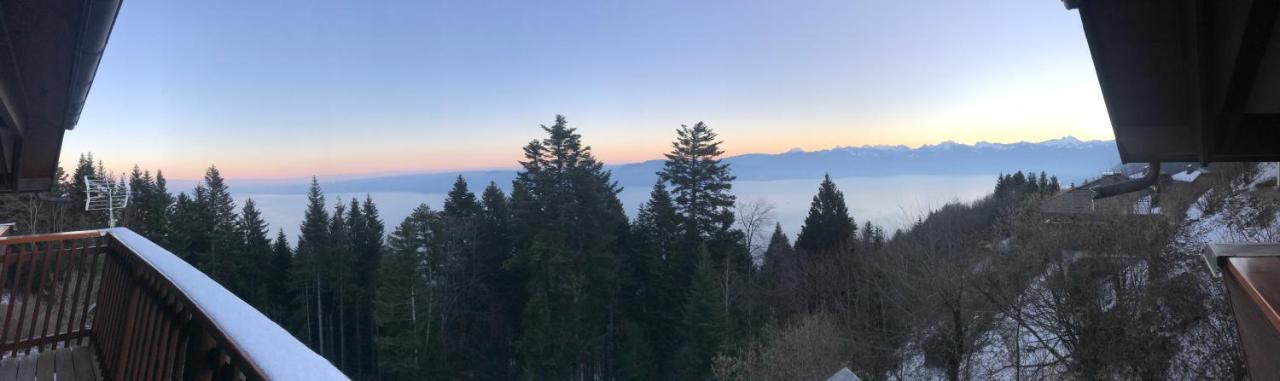 Chalet Chalon Meillerie Dış mekan fotoğraf